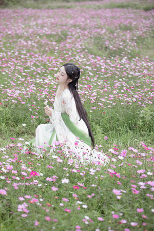 本子芥敦 界面截图